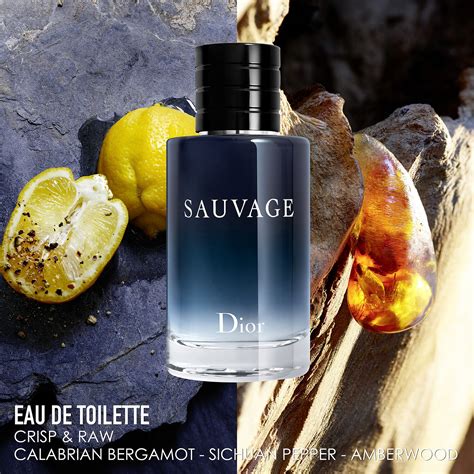 eau sauvage christian dior ingrdientes